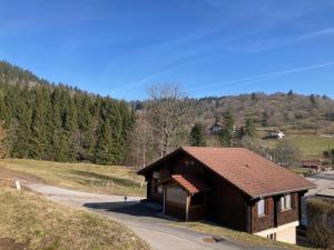 Chalet familial à La Bresse, proche randonnées, WIFI, animaux admis - FR-1-589-425