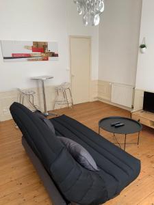 Appartements Le Voltaire 4 chez Adrien Hyper centre : photos des chambres