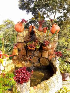 Finca las palmeras Cabaña de Ian