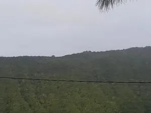 Le dodo - 圣安娜上安茹