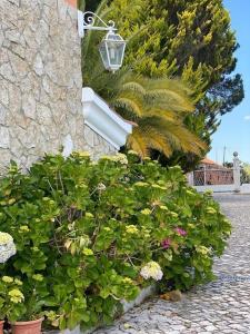 Quinta do Alto dos Pinheiros