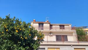 Apartment with a large terrace, 80 meters from the beach