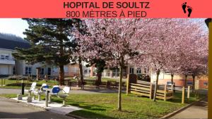 Appartements Soultz Centre - Wifi Fibre - Terrasse - Garage 2 places - Netflix : photos des chambres