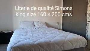 Appartements Le Studio de la Republique : photos des chambres