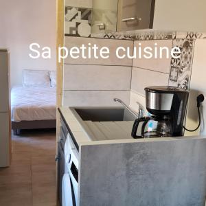 Appartements Le Studio de la Republique : photos des chambres