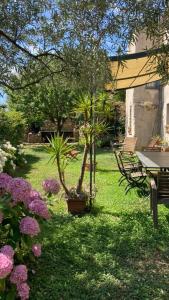 Casa Olivia Lacremà