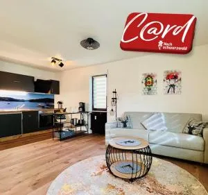 Ferienwohnung Niki - Titisee