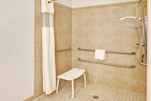 Standard King Room room in Scottish Inn and Suites