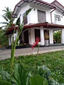 Ransavi villa - Mahawatta