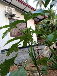 Ransavi villa