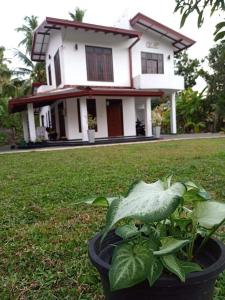 Ransavi villa