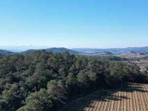 Domaine La Sauzette