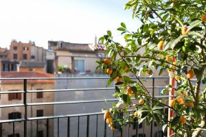 Apartment mit 1 Schlafzimmer und Terrasse (4 Erwachsene) - Babuino 172