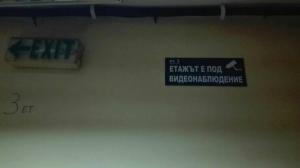 Стаи на пъпа на Варна, входа на Морската градина