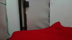 Стаи на пъпа на Варна, входа на Морската градина