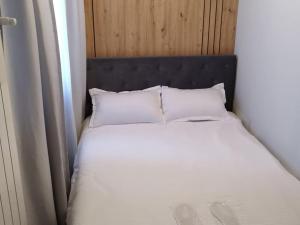 A G Studios Palas-Iasi