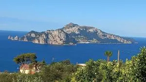 Delizia Caprese - Termini