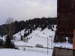 Casa Aurici Vatra Dornei