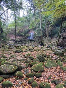 かげやんのいえ　KAGEYAN NO IE