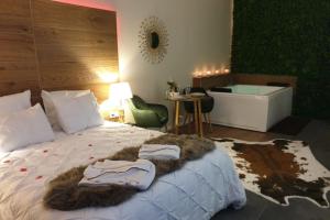B&B / Chambres d'hotes Love-Room Paradise ! : photos des chambres