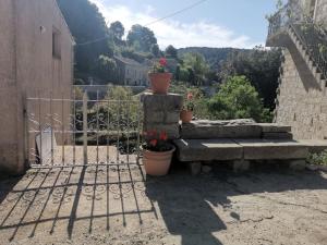 CHEZ PERLE à LEVIE, logement entier de type T4