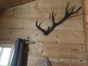 La Cabane du Trappeur