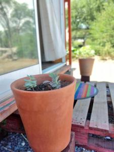 Tampu, the Container House