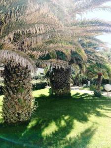 Coquet appartement proche mer - garage