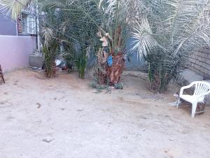 Large and cheerful home with 2 floors