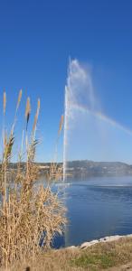 Appartements Istres T3 65 m² avec vue superbe sur etang de l'Olivier et le Jet d'Eau : photos des chambres