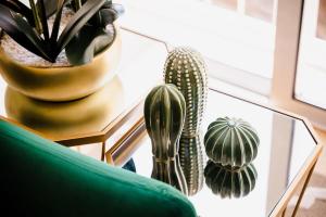 Chimney Luxury House with AC