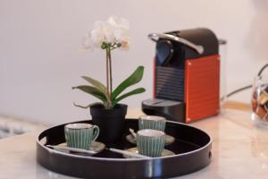 Beautiful Loft Downtown Porto