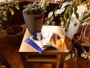 Beautiful B&B On The Park