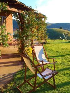 Podere Cavone - Casale degli Ulivi