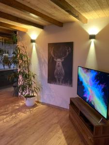 Appartements Ammerschwihr le coeur du vignoble : photos des chambres