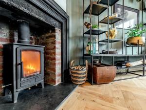 Oystercatcher - Mount Brioni