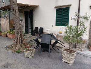 La casina fra gli olivi