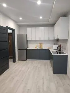 Apartments Domovik Mira 11s/9 - Kolʼchyno