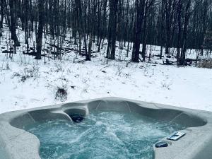 Cozy Cottage with Jacuzzi, Sauna, Fire Pit and Reading Nook!