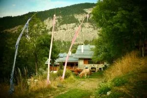 Consulat des Elohim chez Allan et Lili-Peace - 阿尔宾内