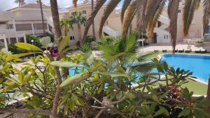 Chayofa Paraiso, apartamento Tenerife Sur