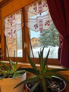 Ferme savoyarde rénovée 2 chambres