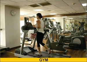 The Rixx Business Apartment @D1Netflixsaunagym