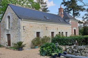 Maisons de vacances La Chauvelliere, un ecrin de verdure dans un cadre historique : photos des chambres