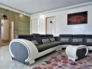 Maisons de vacances Maison entiere Montauban quartier Sapiac - Piscine et parking prives gratuits - Climatisation : photos des chambres
