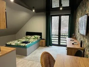Apartament nad Jeziorem - بوكرزونا