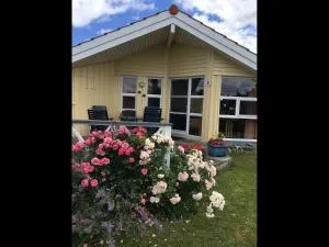 NEU Dänisches Holzhaus mit Sauna in Strandnähe - Wackerballig