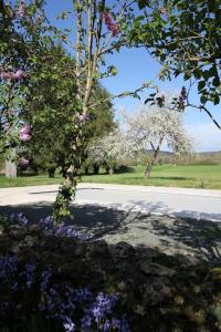 Maisons de vacances LE SORBIER 2 BED/2 BATH GITE WITH SWIMMING POOL : photos des chambres