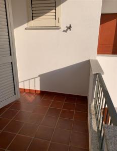 Delfino img15