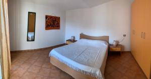 Delfino img11